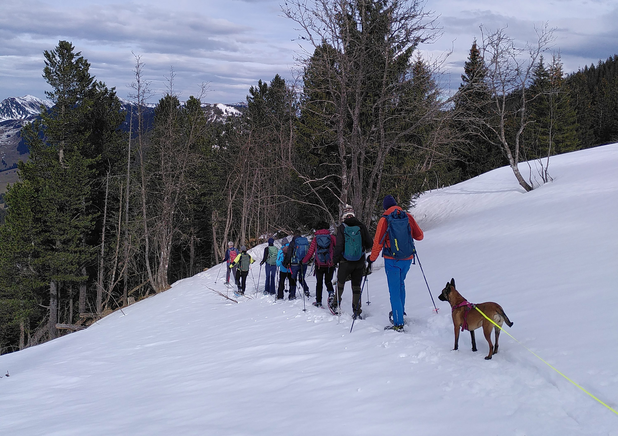 Eine Gruppe mit Schneeschuhen in einer Reihe beim Abstieg durch den Schnee. 
