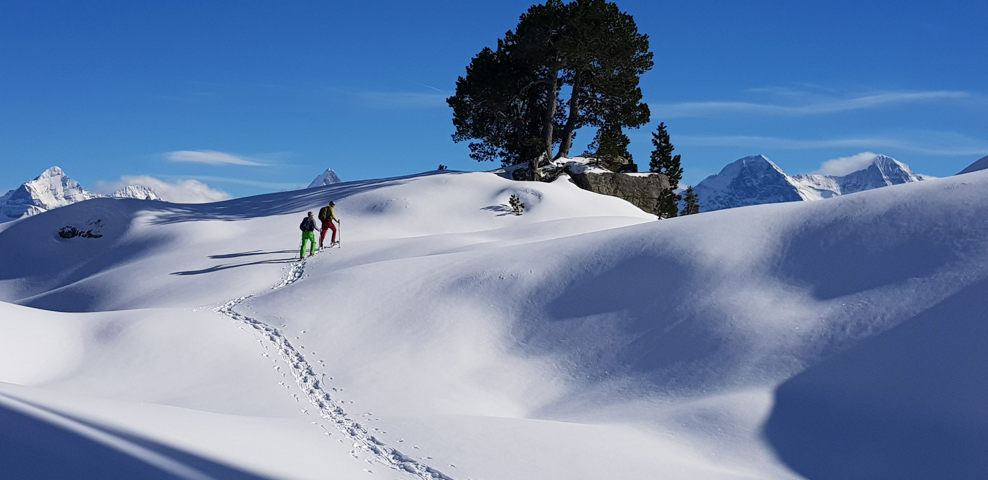 Zwei Personen wandern mit Schneeschuhen in malerischer Schneelandschaft, rechts zwei Bäume. 