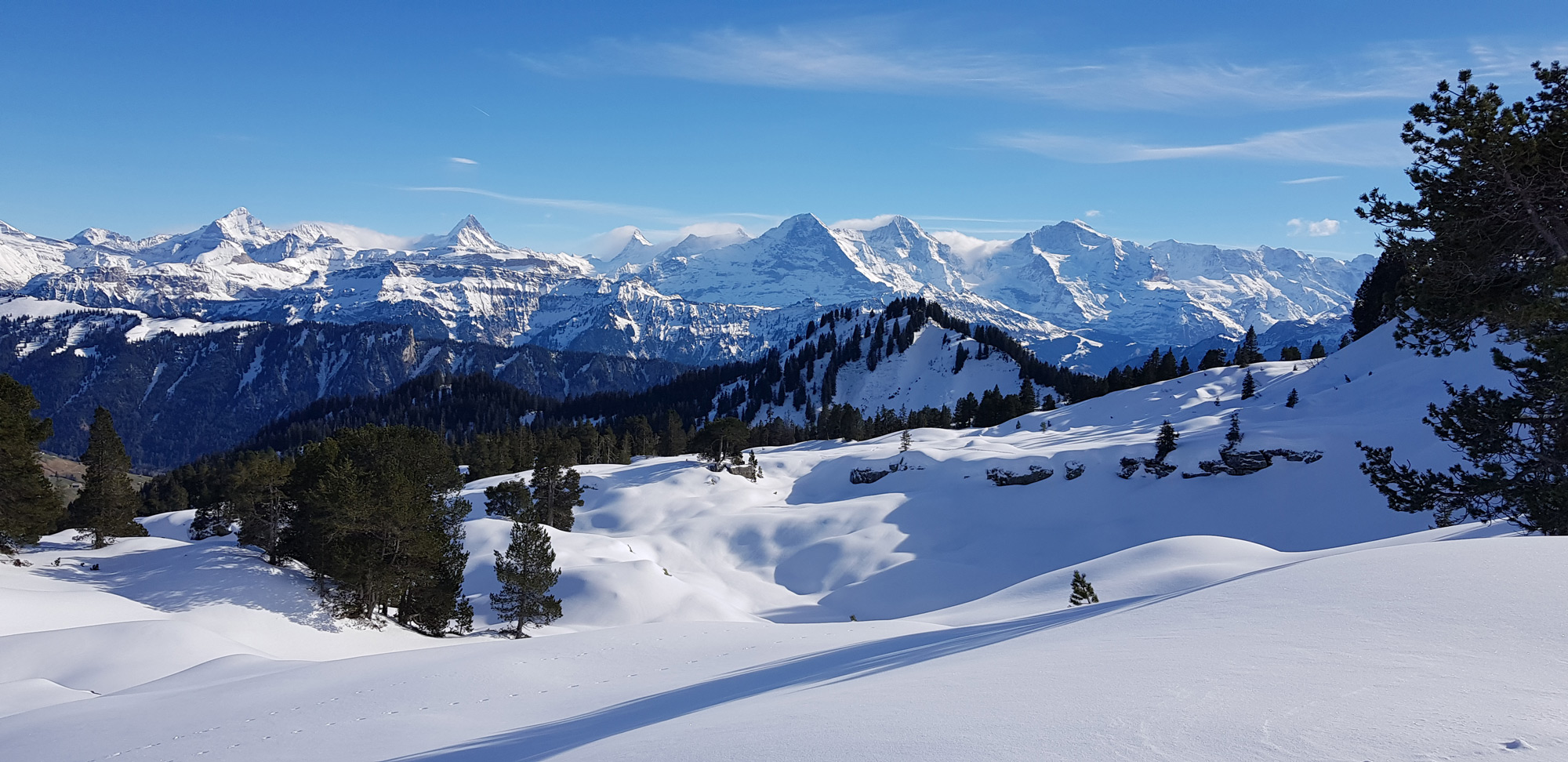 Die schneebedeckten Berner Alpen. 