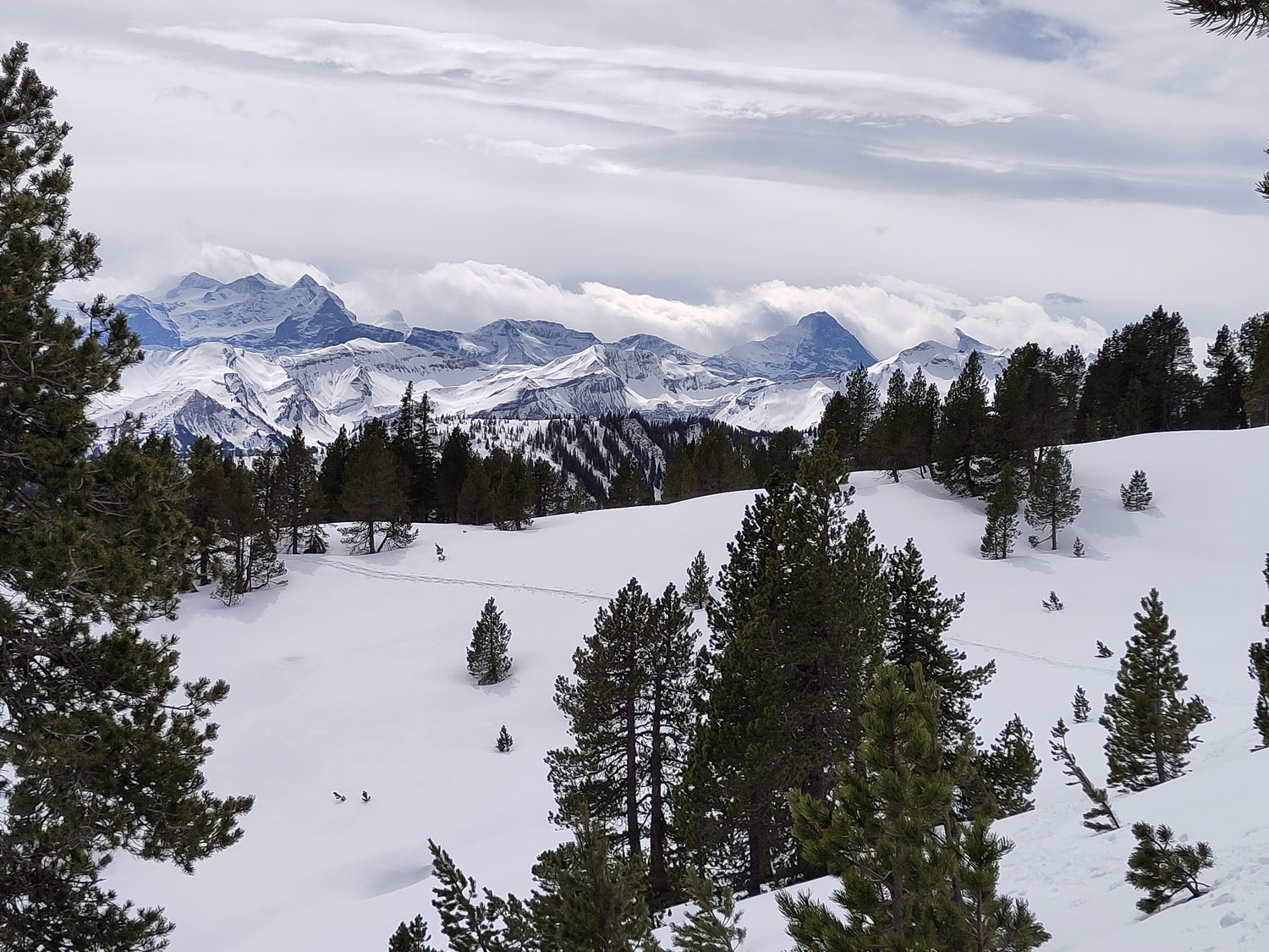 Eine Ebene voller Schnee mit Blick auf die Berge im Hintergrund.